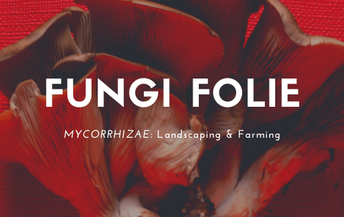 Fungi Folie