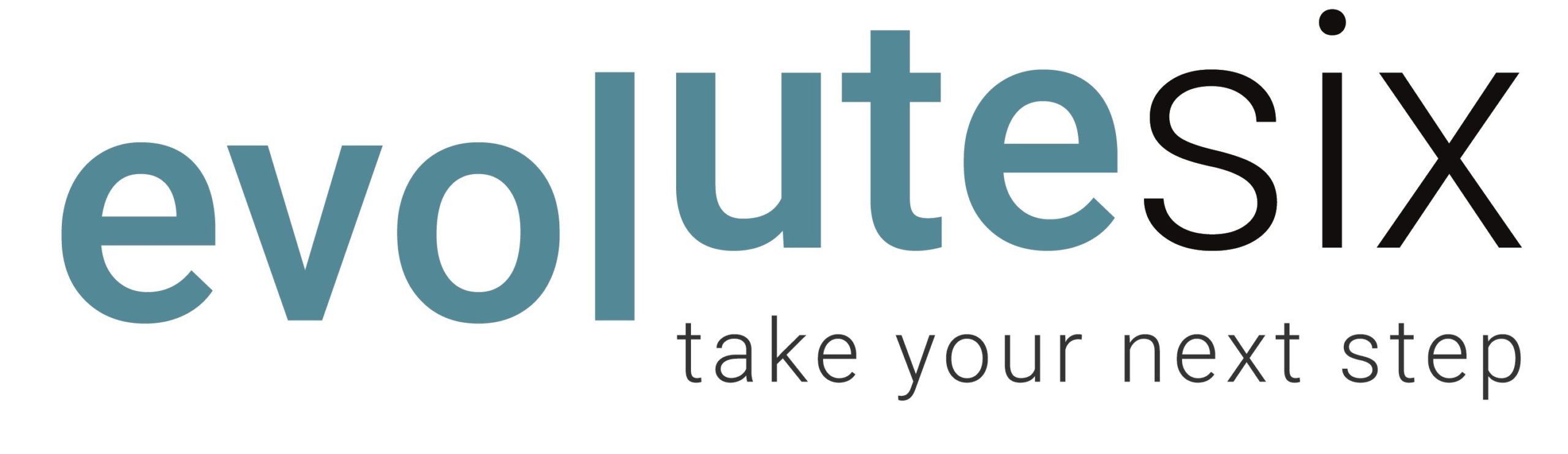 evoluteSixLogo